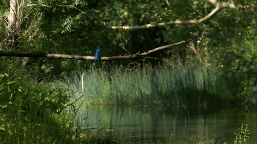 El documental ‘Bihotza’ se exhibirá en todas las cuadrillas y Treviño acompañado de charlas sobre su flora y fauna