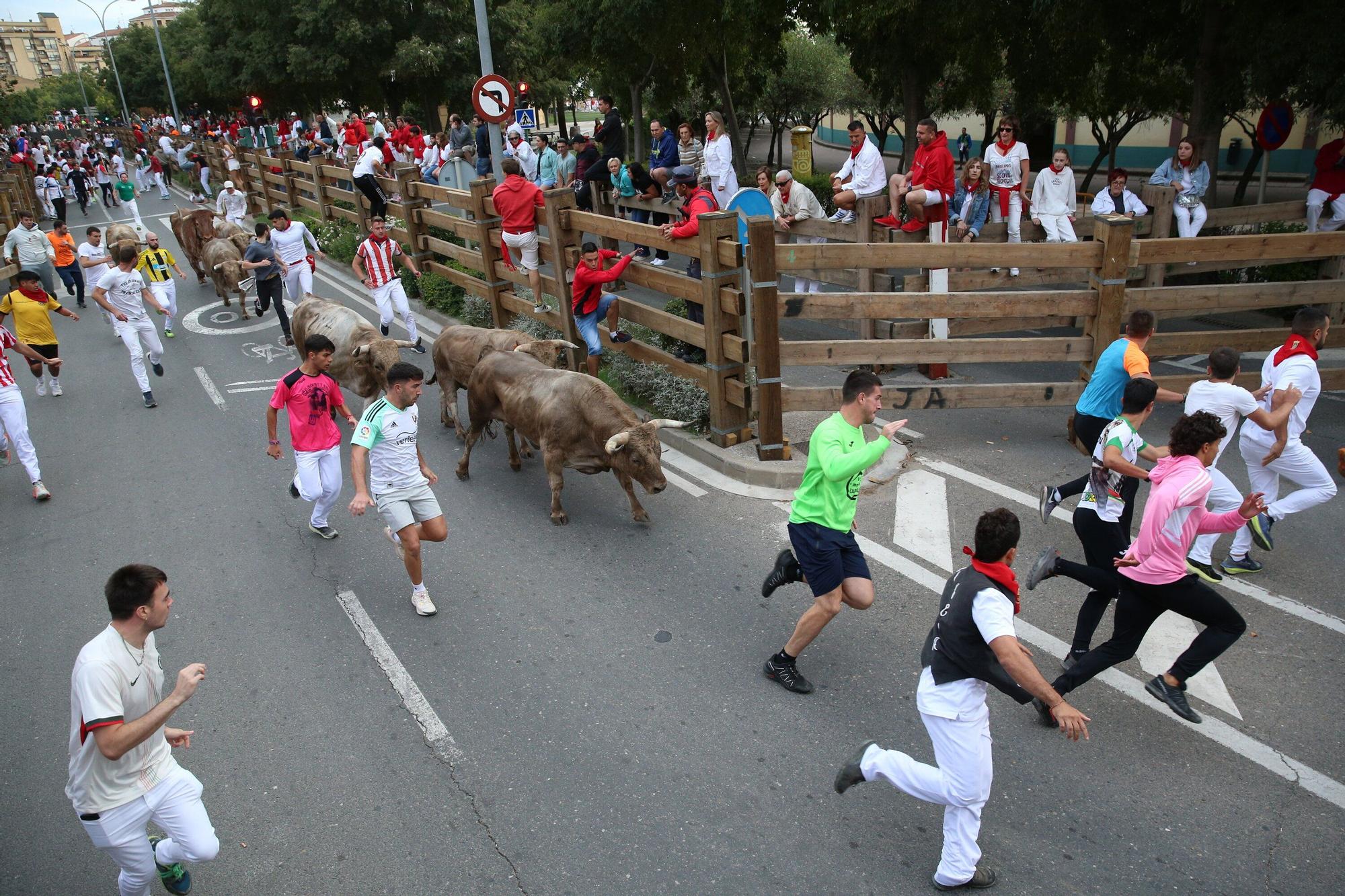 Fotos del sexto y último encierro de las fiestas de Tudela 2025