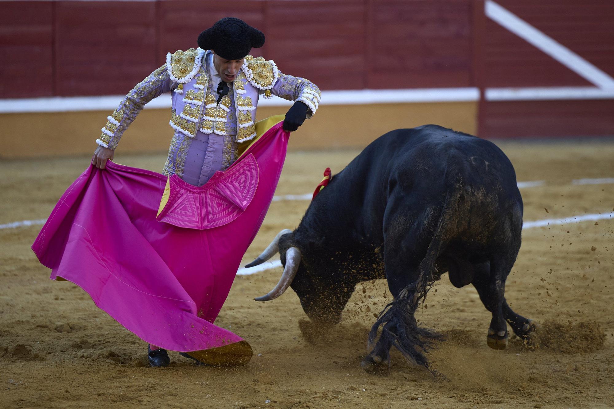 Fotos de la corrida de toros en Tudela con toros de Garzón Valdenebro