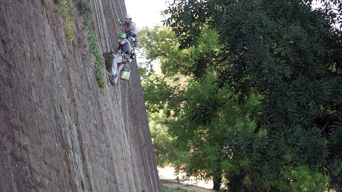 Operarios especializados limpiando la muralla