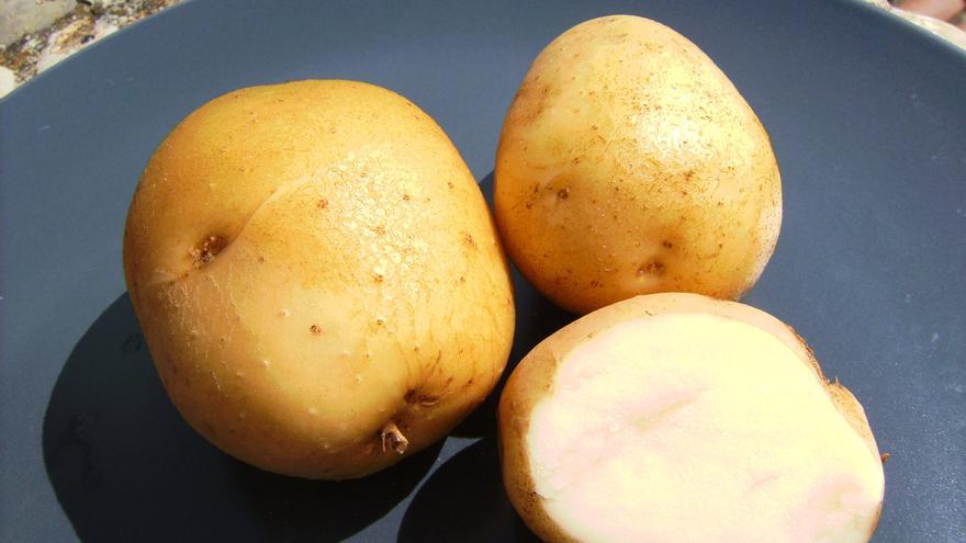 Demuestran que las patatas pueden beneficiar a las personas con diabetes tipo 2