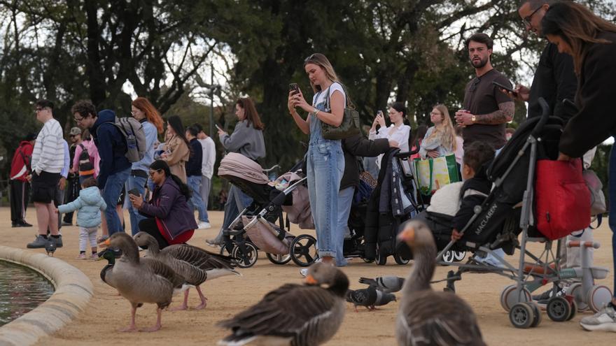 El Estado registra un nuevo repunte de turistas internacionales en febrero
