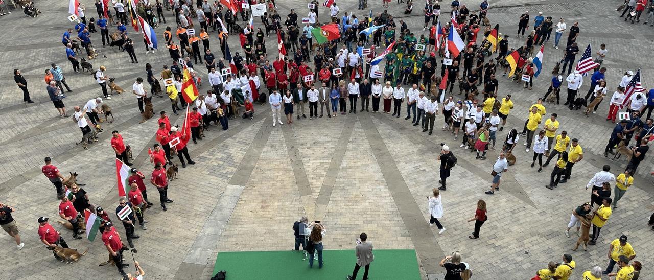 En imágenes: Perros de élite desfilan por Vitoria-Gasteiz por el &#039;Campeonato Mundial FCI-IGP&#039;