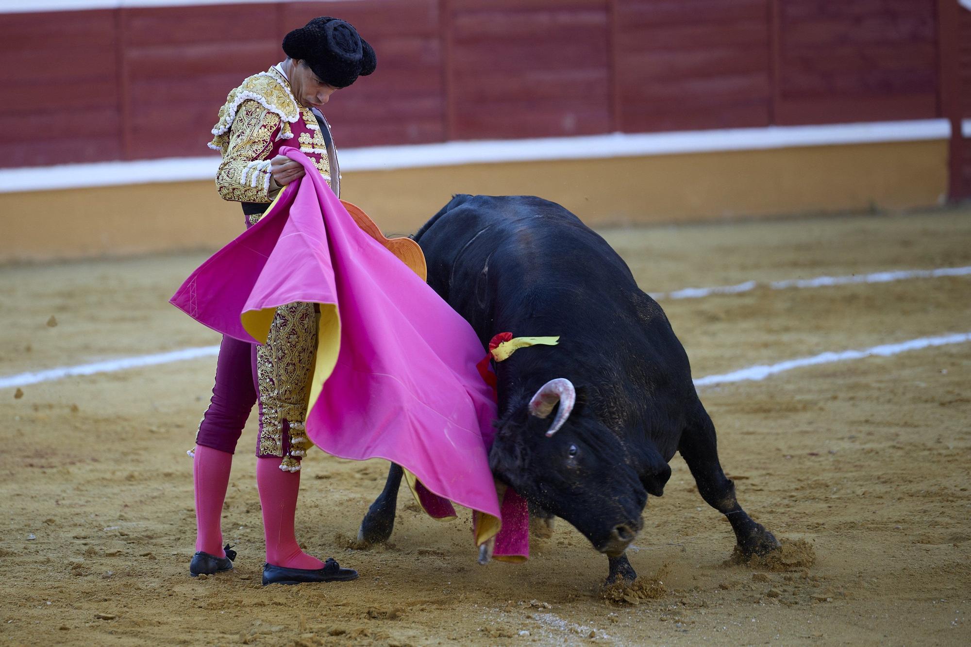 Fotos de la corrida de toros en Tudela con toros de Garzón Valdenebro
