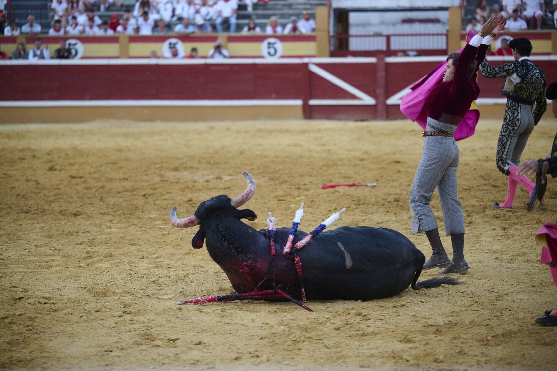 Fotos de la corrida de rejones de este domingo en fiestas de Tudela