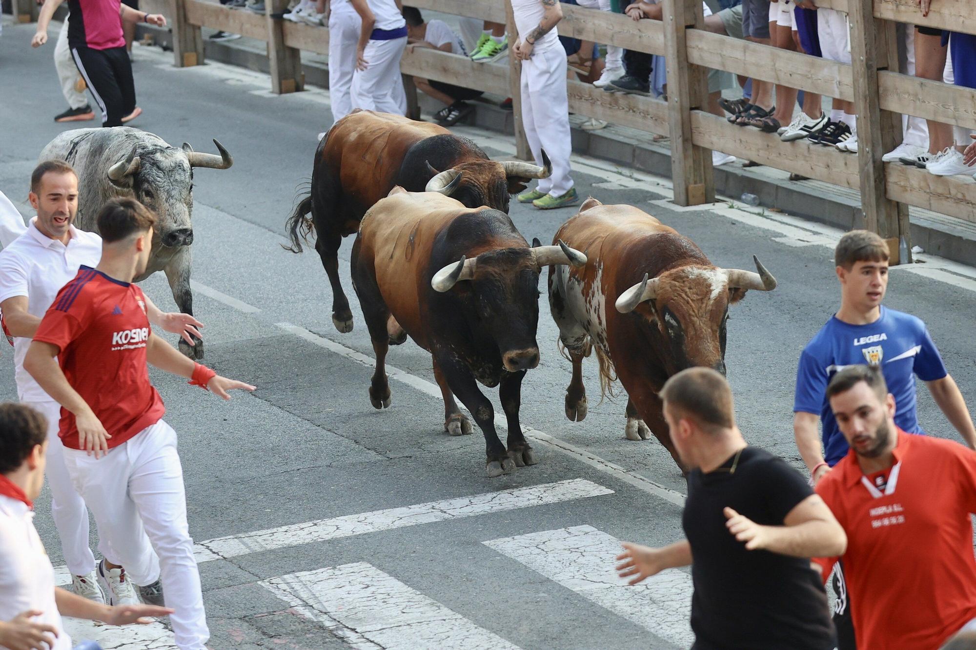 Fotos del tercer encierro de fiestas de Tafalla 2025