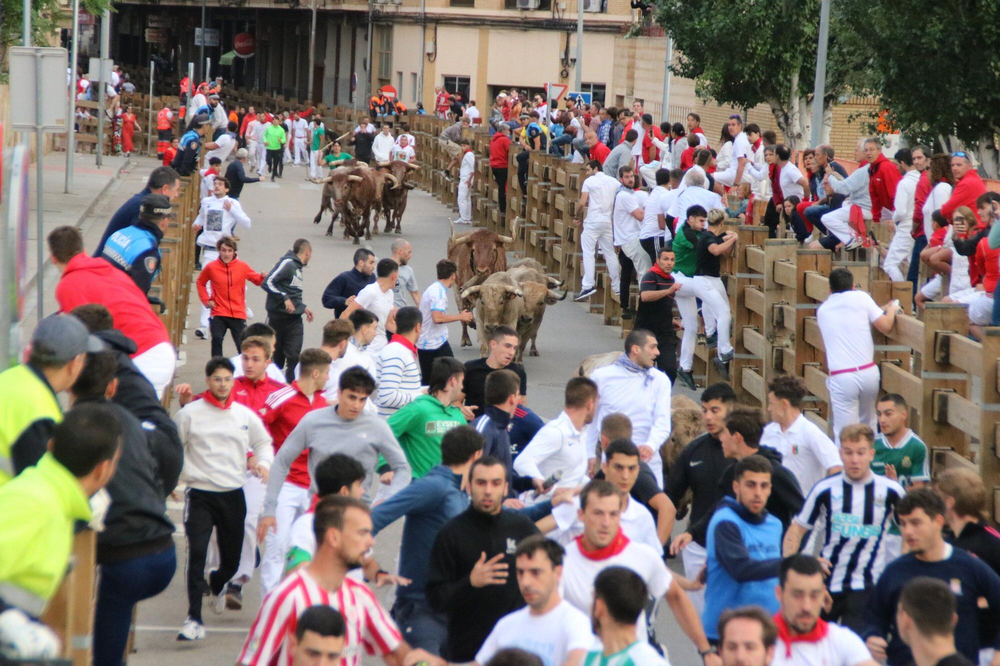 Fotos del sexto y último encierro de las fiestas de Tudela 2025