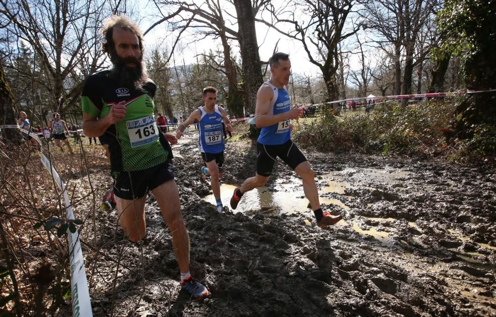 Campeonatos Navarros de Cross