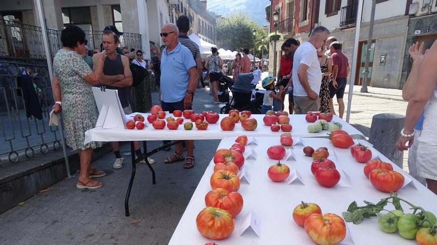 Aretxabaleta: 34 participantes y 65 variedades compiten por el título del mejor tomate autóctono