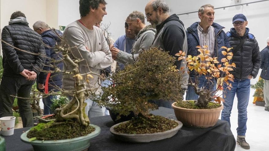 La naturaleza en miniatura