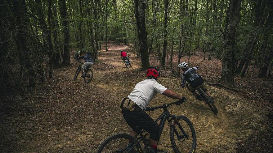 En imágenes:  Así es la aventura extrema sobre dos ruedas que puedes vivir en el navarro bosque de Basaburua