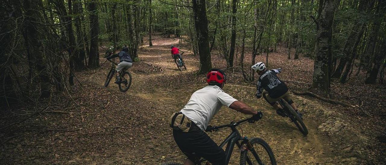En imágenes:  Así es la aventura extrema sobre dos ruedas que puedes vivir en el navarro bosque de Basaburua