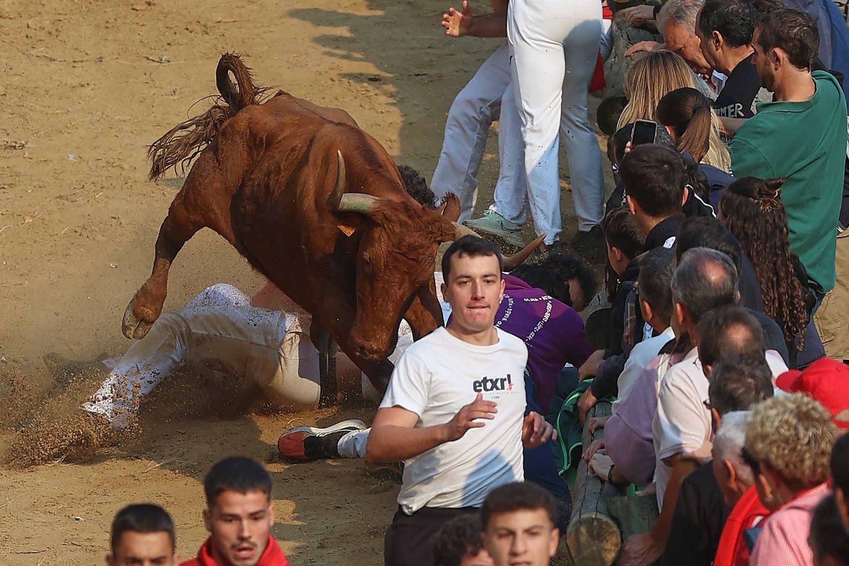 Fotos del cuarto encierro del Pilón de Falces 2025