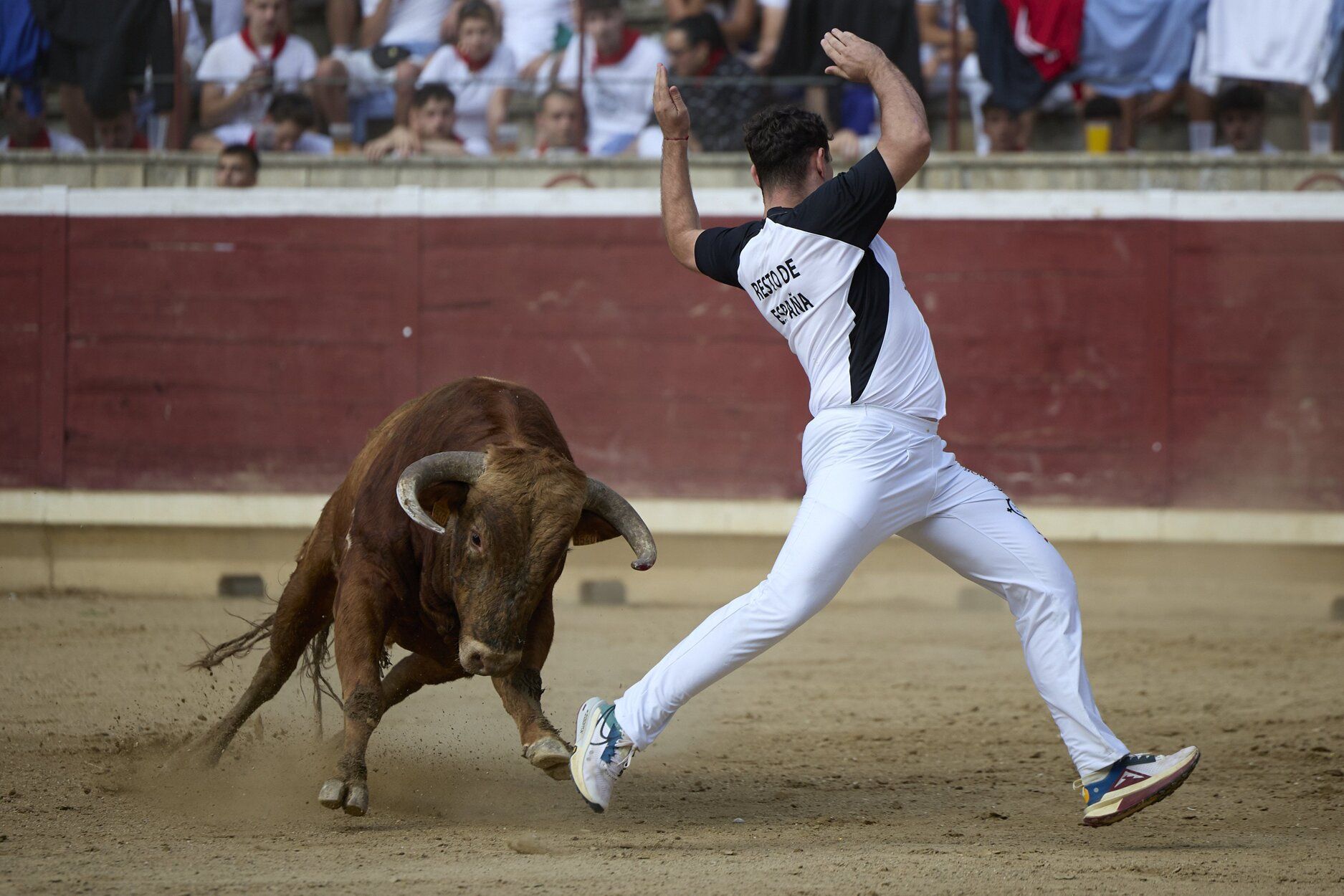 Fotos del concurso de recortadores de fiestas de Tafalla