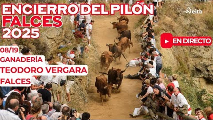 Vídeo del tercer encierro del Pilón de Falces 2025