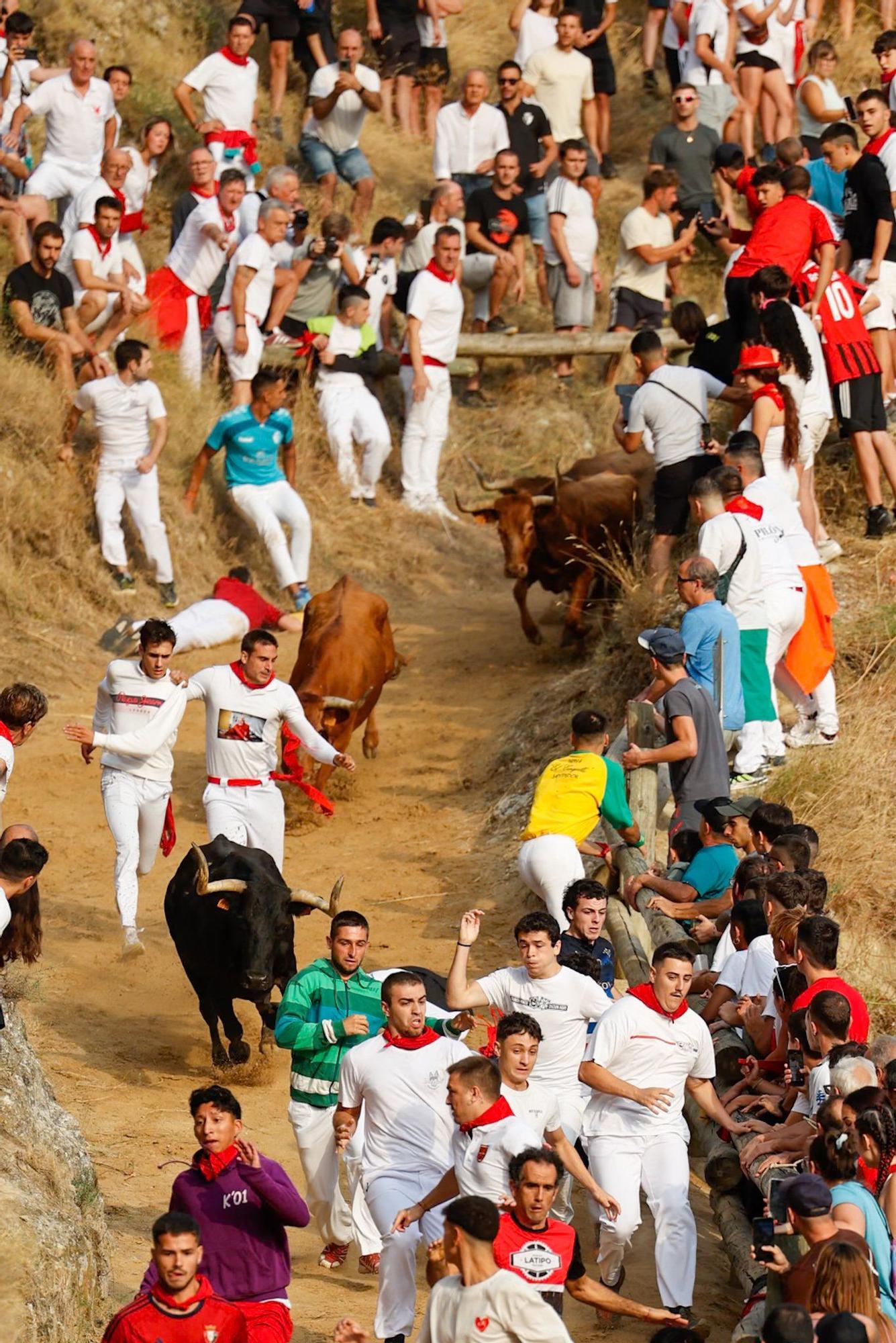Fotos del segundo encierro del Pilón de Falces 2025