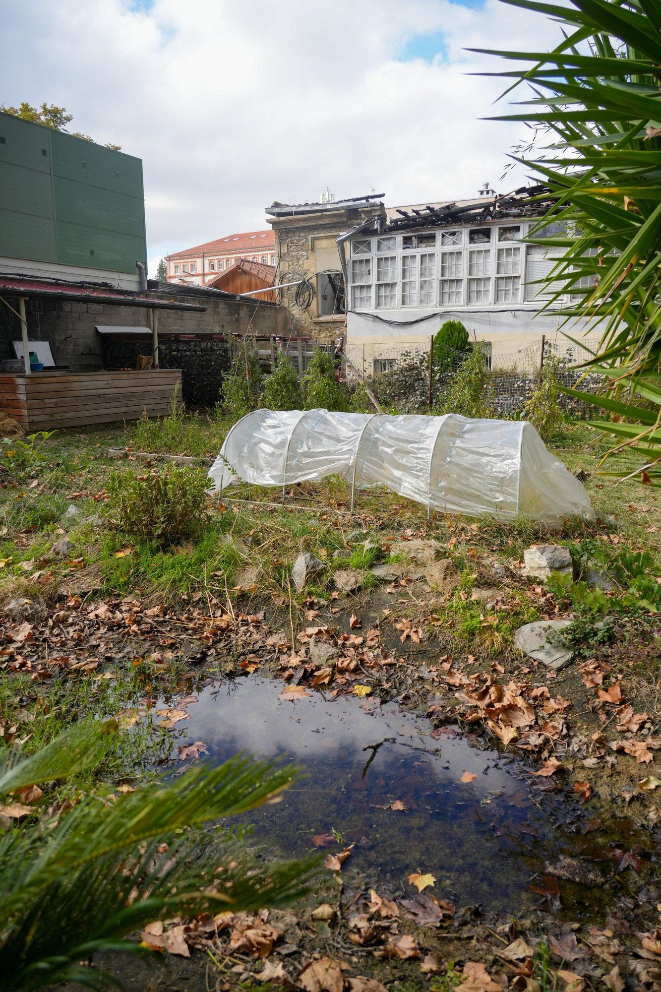 En imágenes: La UPV/EHU impulsa un curso de agricultura ecológica en el Campus de Álava