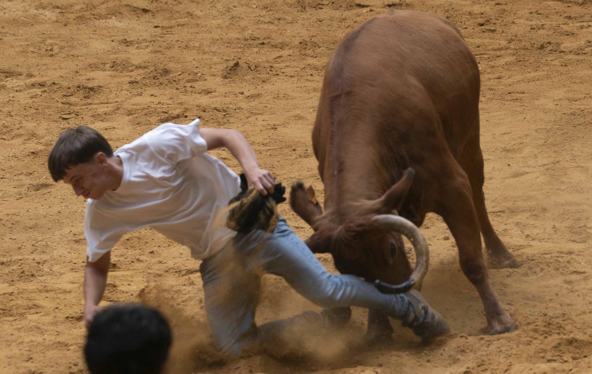 Eb imágenes: Las vaquillas reinan en el Iradier Arena