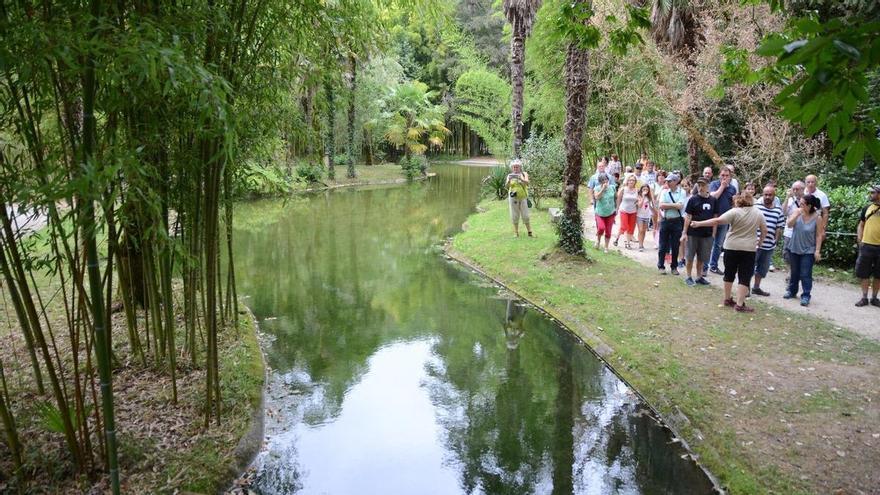 El jardín botánico más mágico del Bidasoa abre sus puertas gratis un solo día