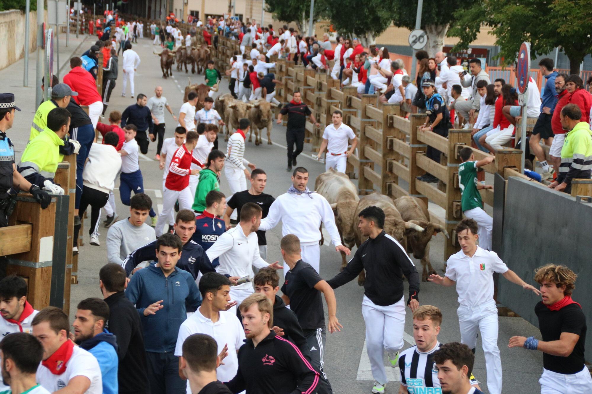 Fotos del sexto y último encierro de las fiestas de Tudela 2025