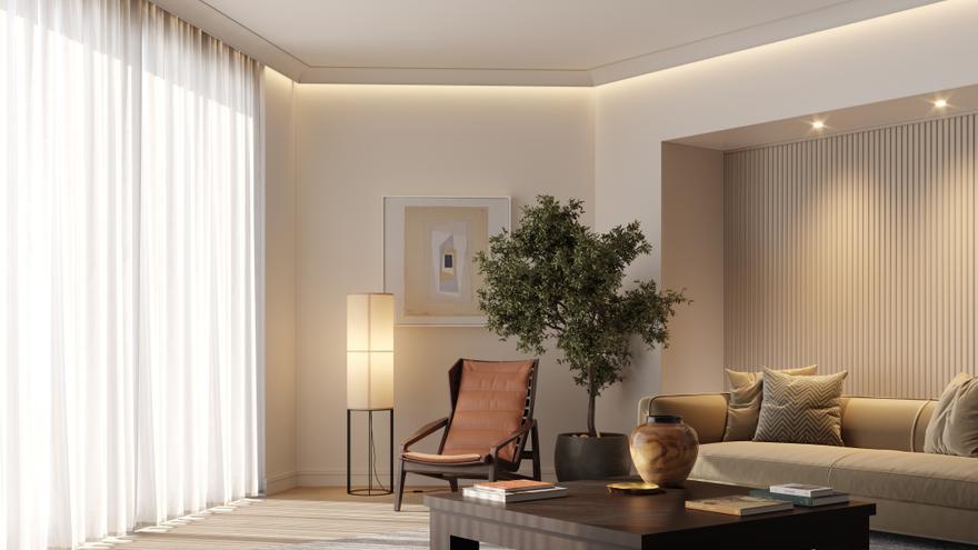 Olivos artificiales y otras plantas para decorar el interior de la casa