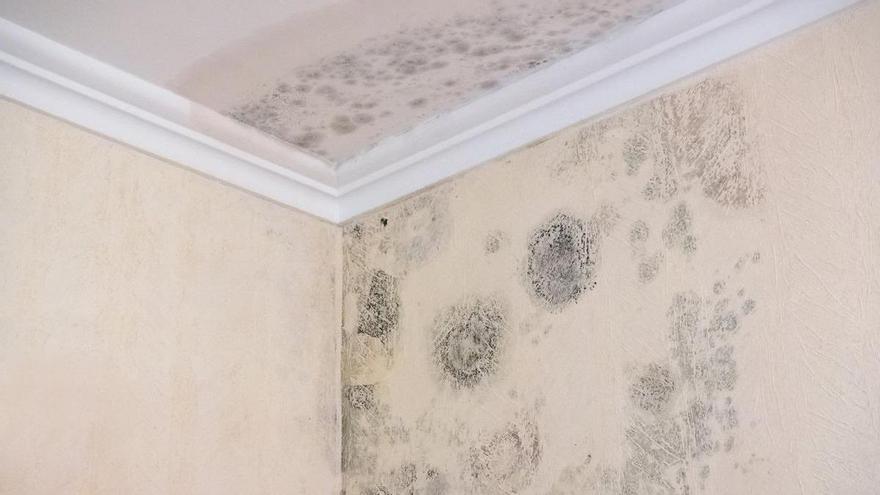 El truco para eliminar las manchas de humedad de tus paredes