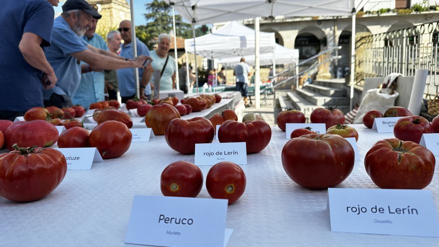 Concurso de tomate de Aretxabaleta: memoria agrícola de un territorio