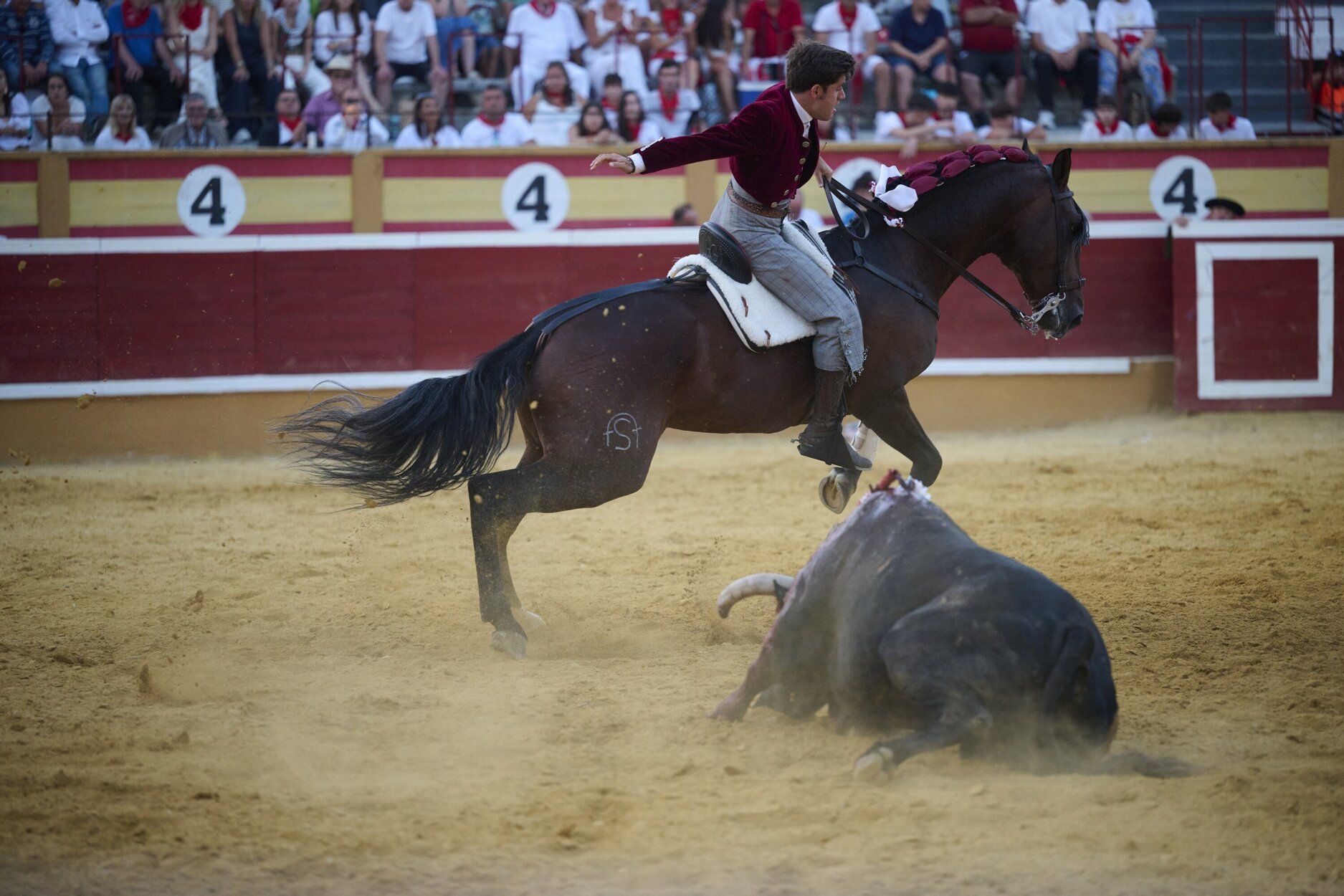 Fotos de la corrida de rejones de este domingo en fiestas de Tudela