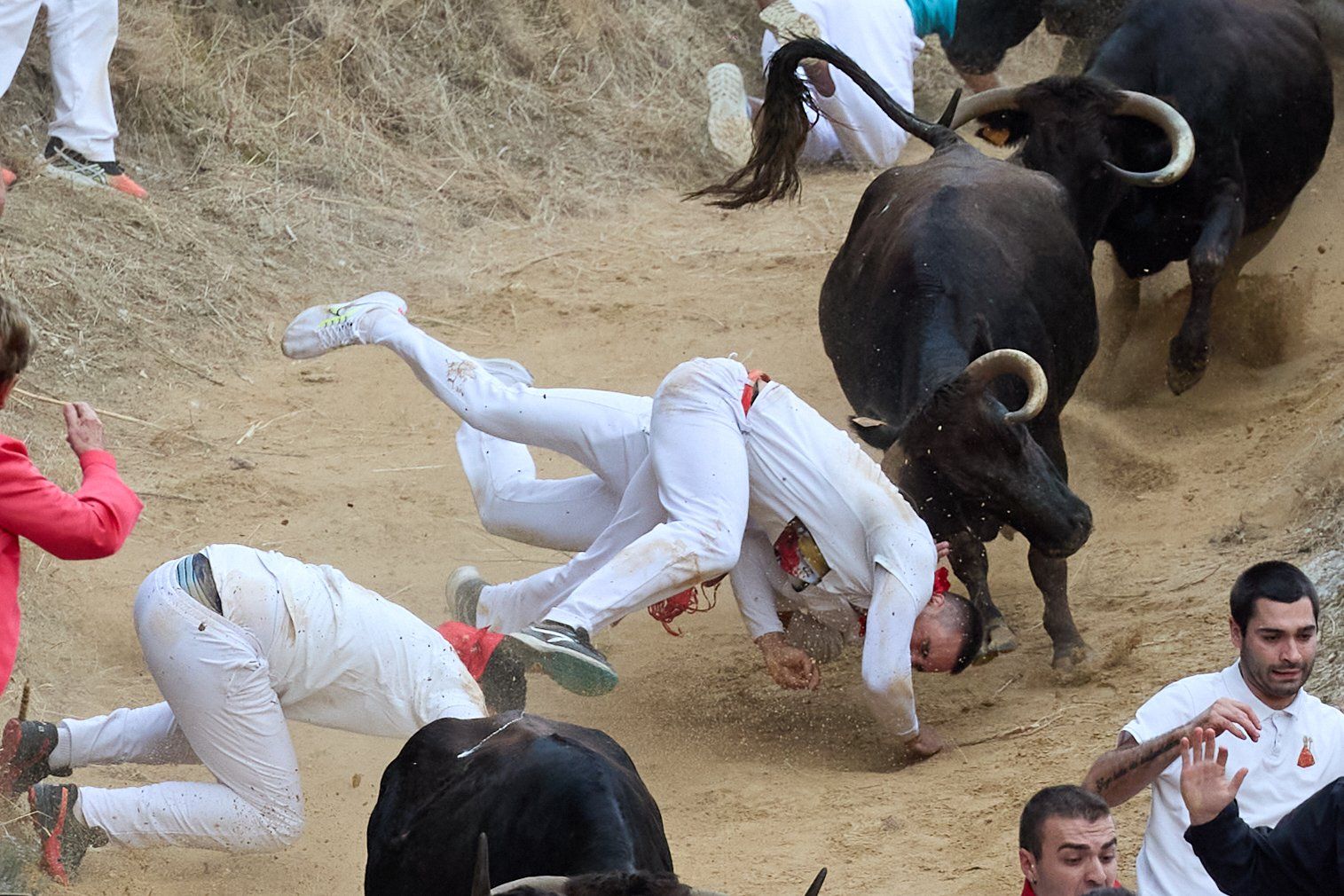 Fotos del tercer encierro del Pilón de Falces 2025