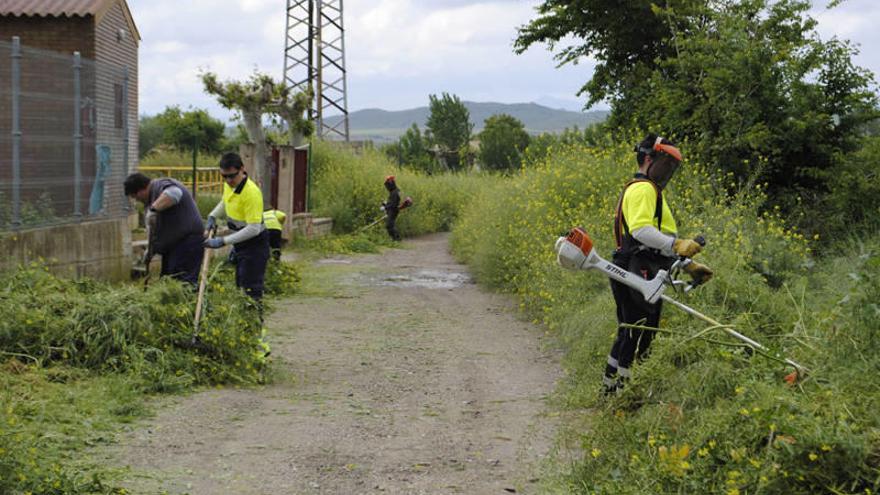 Los miembros de la brigada ecológica, en pleno trabajo junto a las pistas de la localidad.