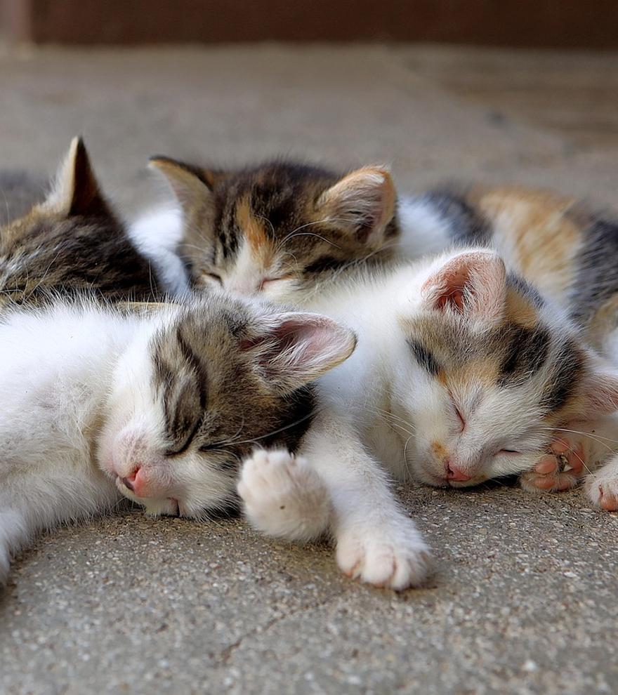 La responsabilidad no es del ciudadano