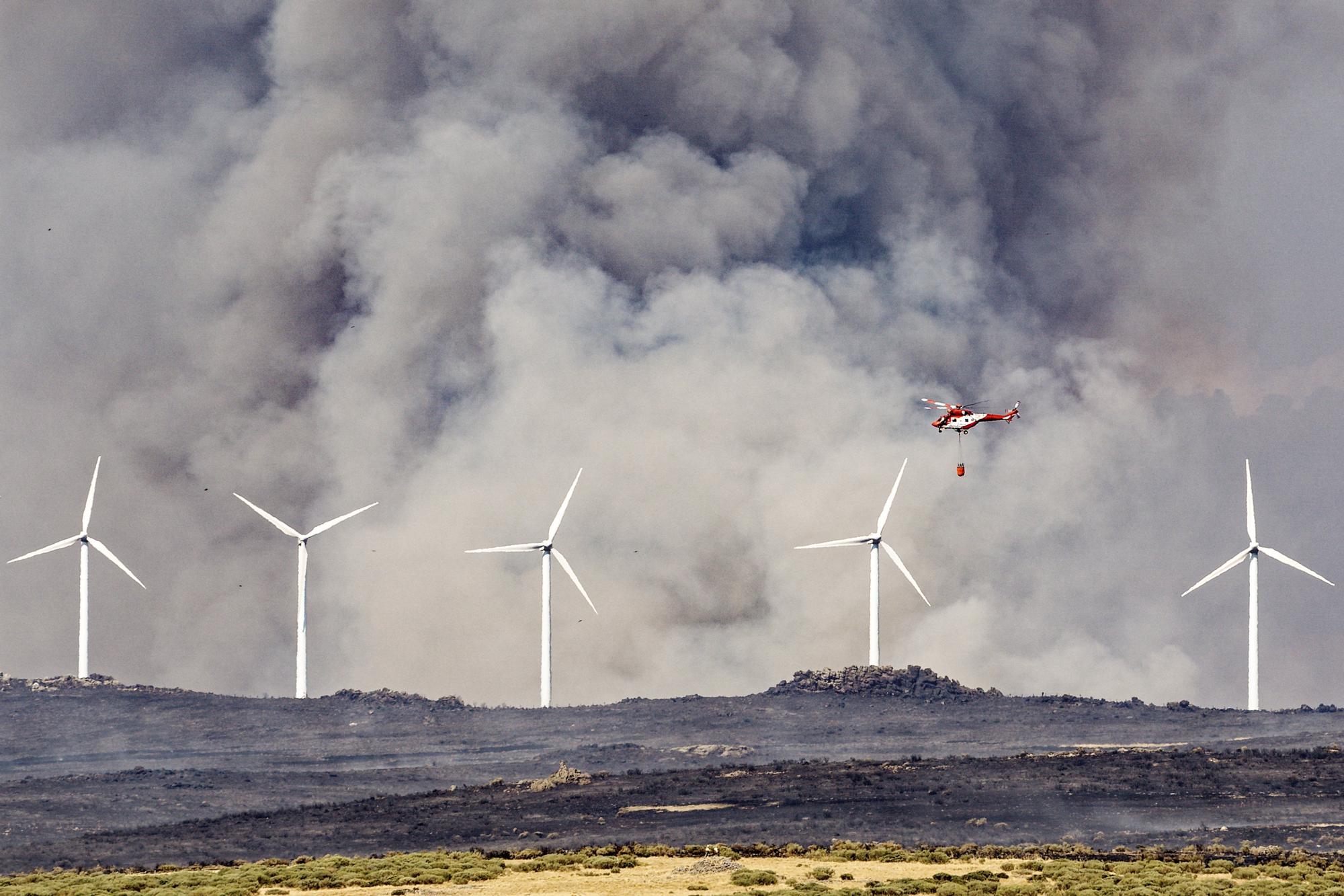 Semana negra de incendios: Cuatro muertos y 120.000 hectáreas quemadas