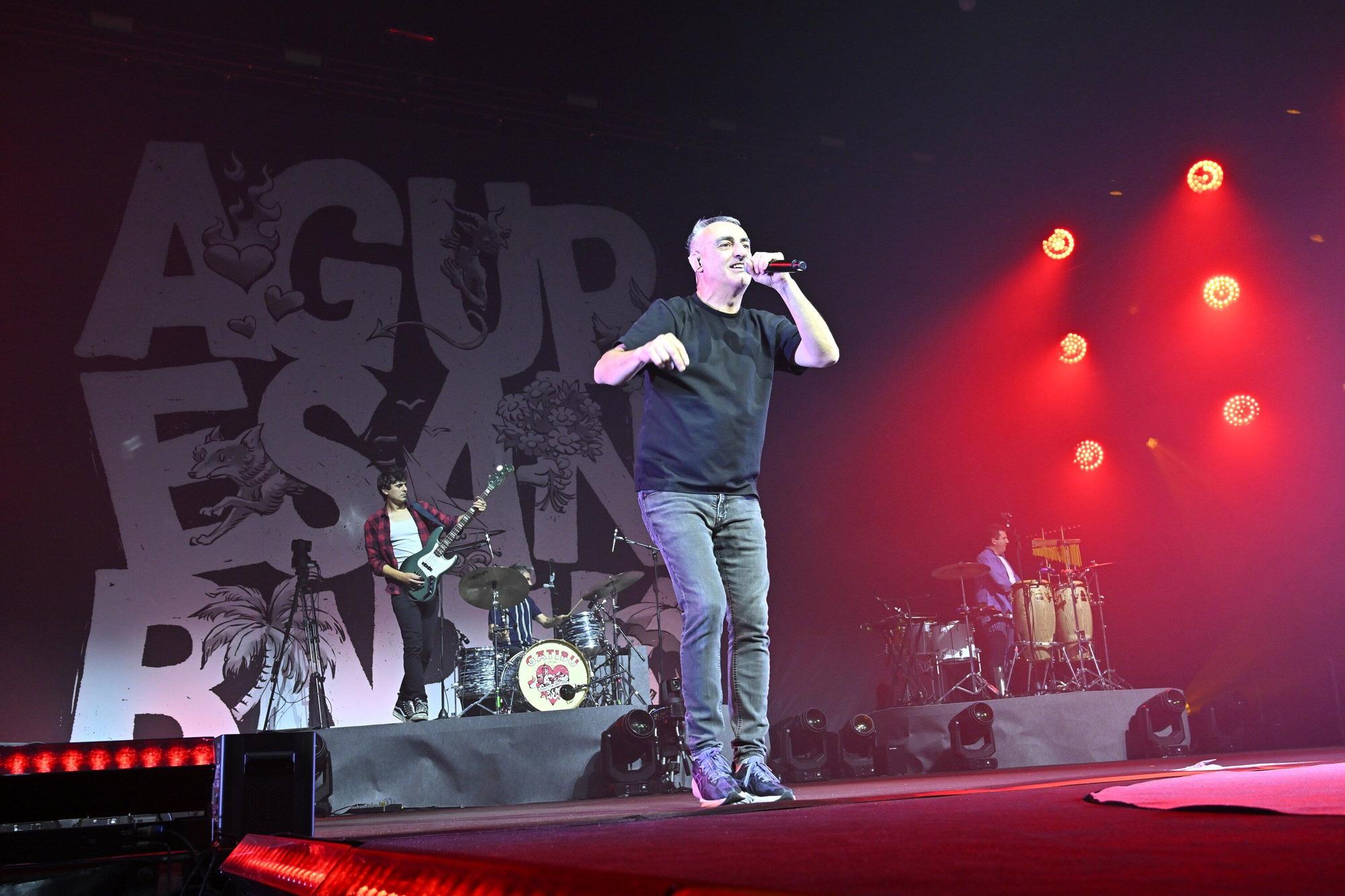 En imágenes: multitudinario último concierto de Gatibu