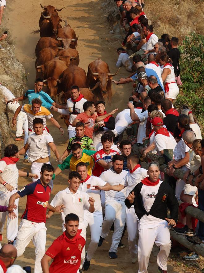 Fotos del primen encierro del Pilón en Falces 2025