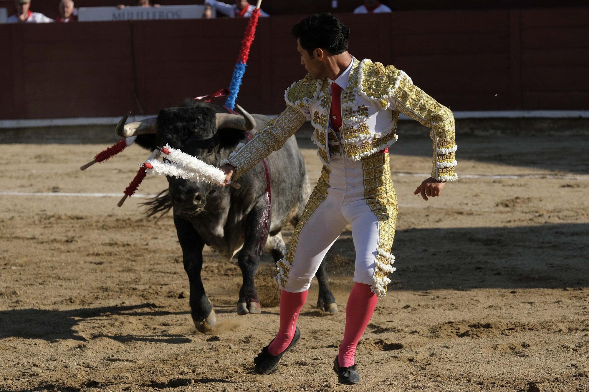 Fotos de la corrida con toros de Partido de Resina en fiestas de Estella-Lizarra