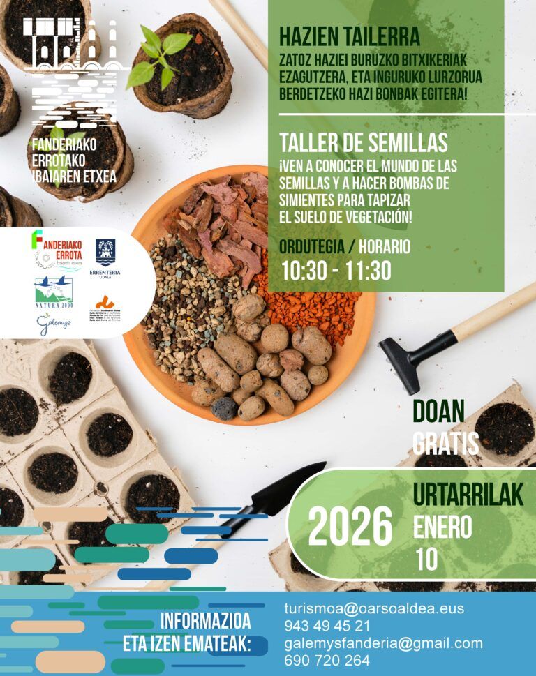 Cartel de la programación de enero.