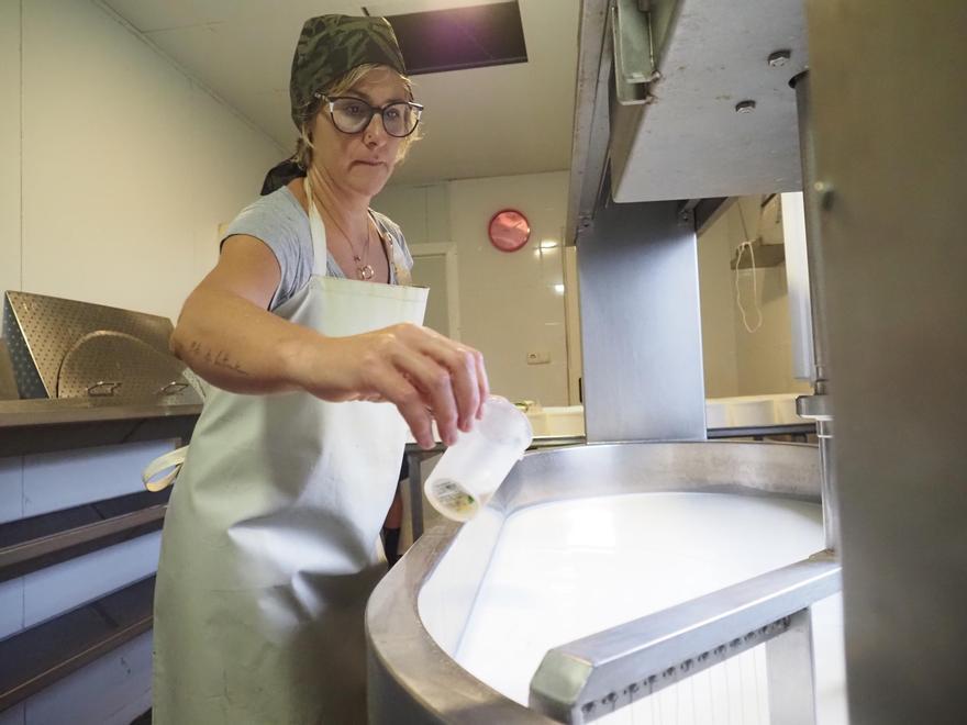 Nagore Martín trata con cuajo la leche de sus cabras en una cubeta en el proceso de elaboración del queso.