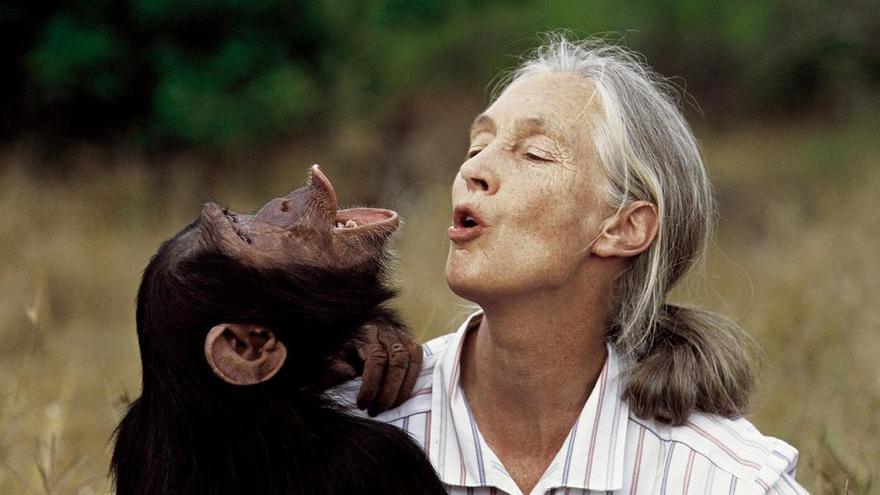 Confirmada la causa de la muerte de Jane Goodall