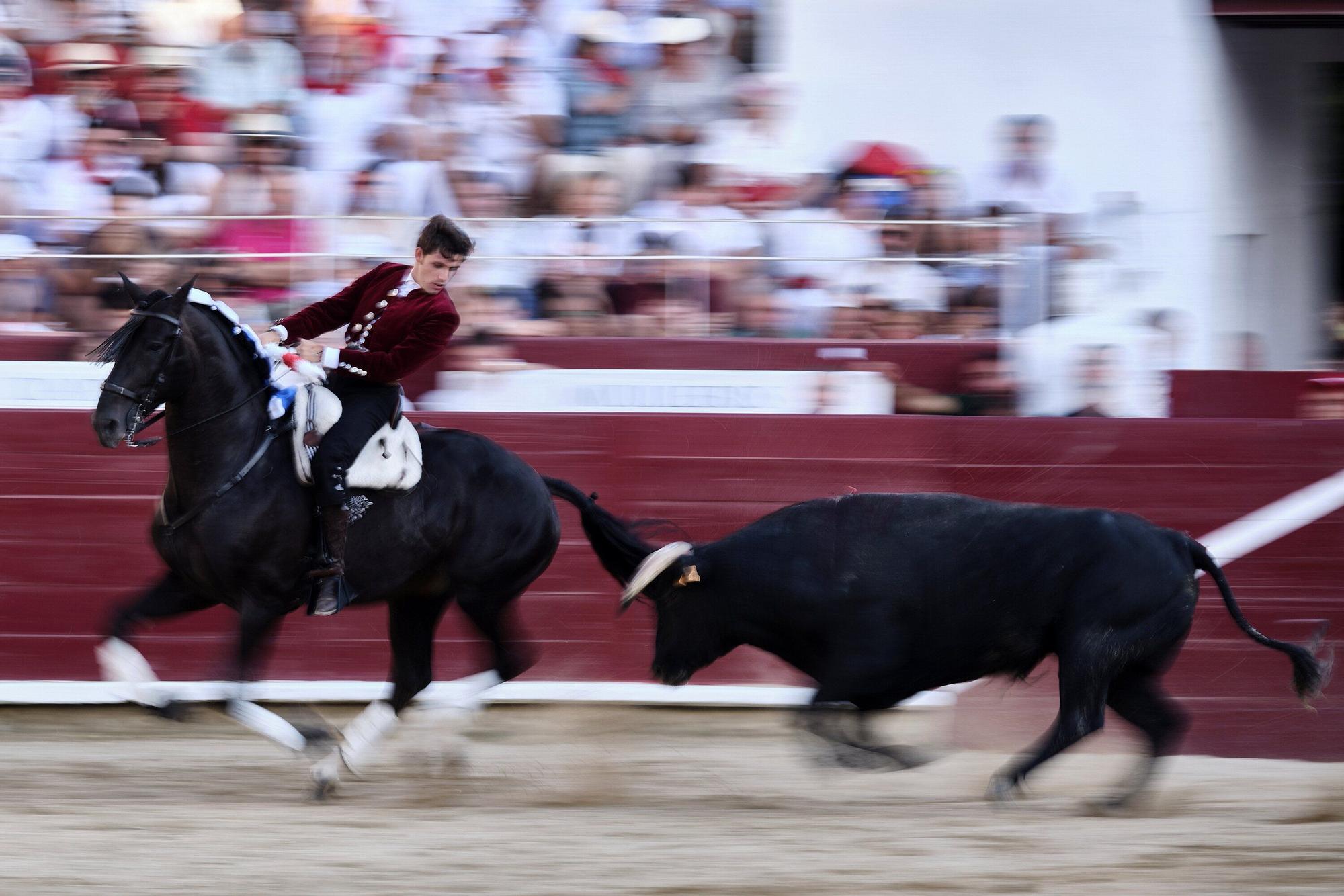 Fotos de la 'encerrona' de Guillermo Hermoso de Mendoza en la plaza de toros de Estella - Lizarra