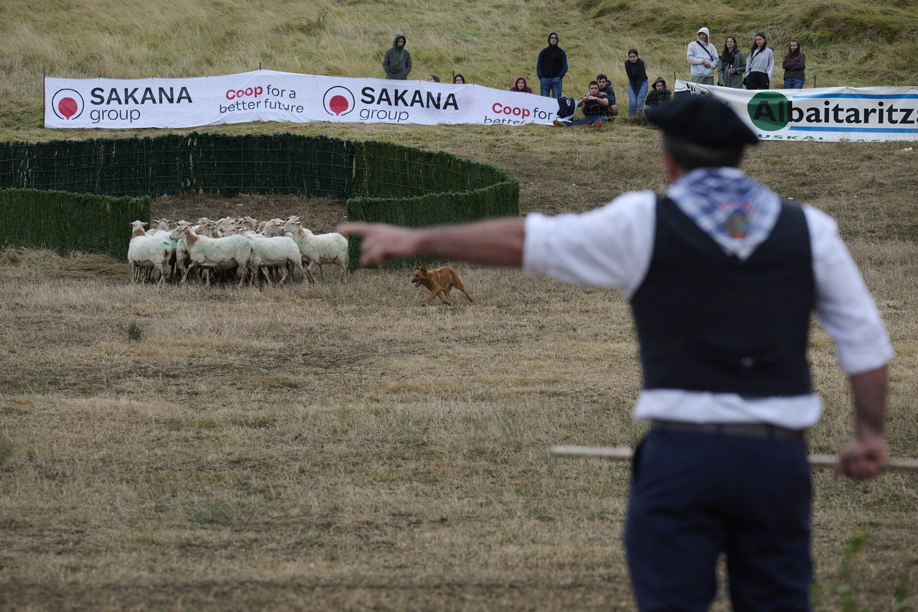 Fotos del Artzai Eguna en Uharte Arakil