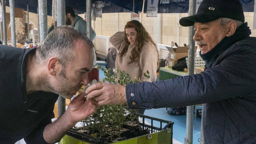 Ribabellosa, la capital de la trufa