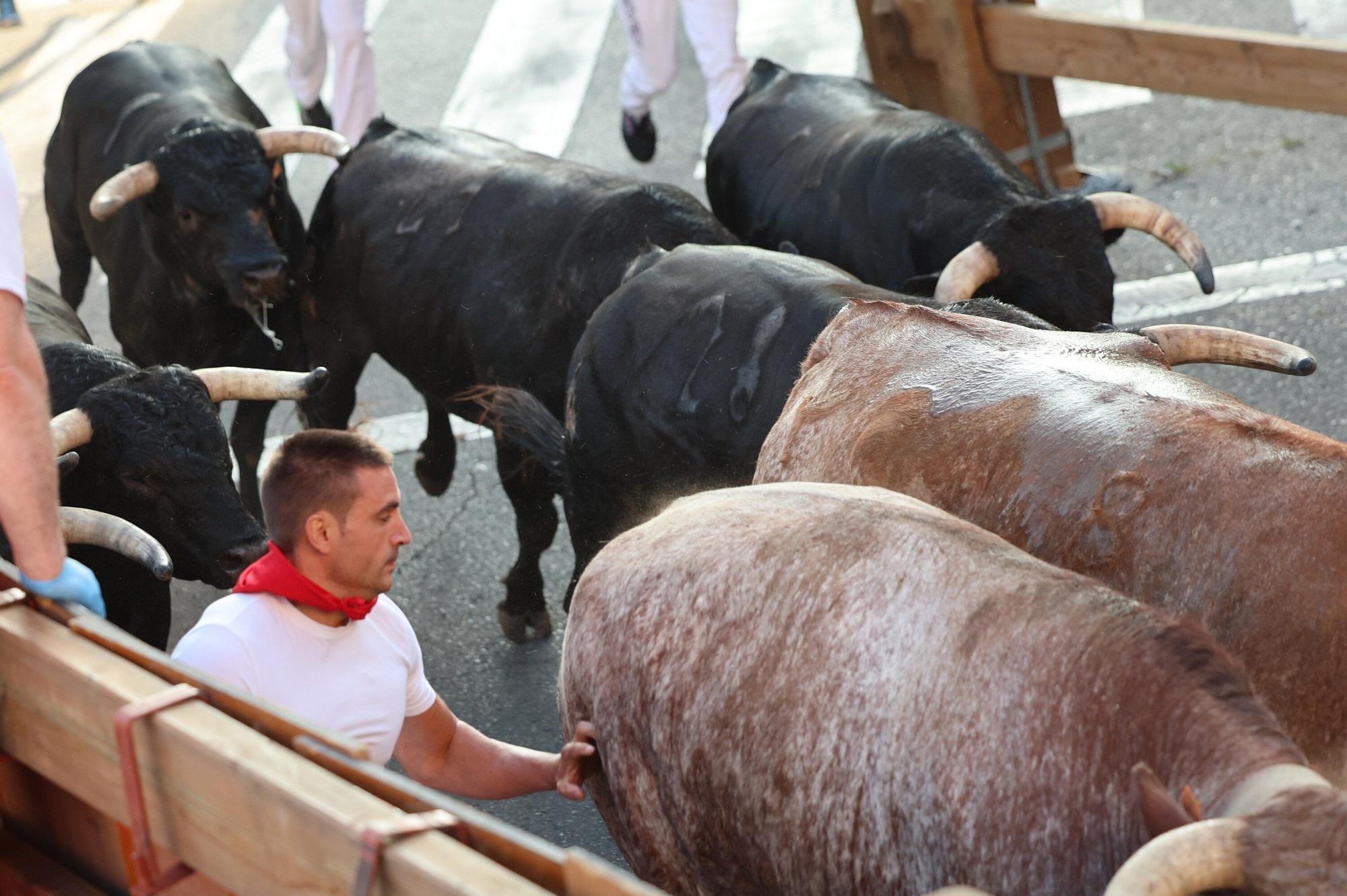 Fotos del tercer encierro de las fiestas de Tudela 2025