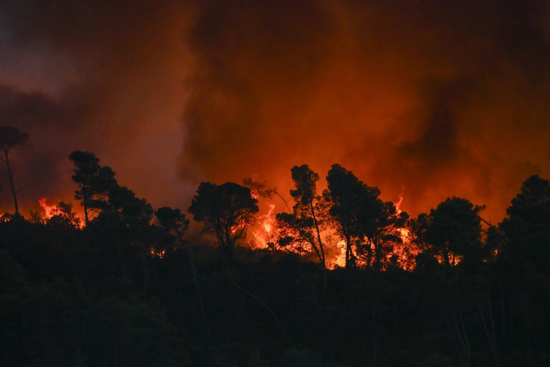 Francia lucha contra uno de los peores incendios en medio siglo