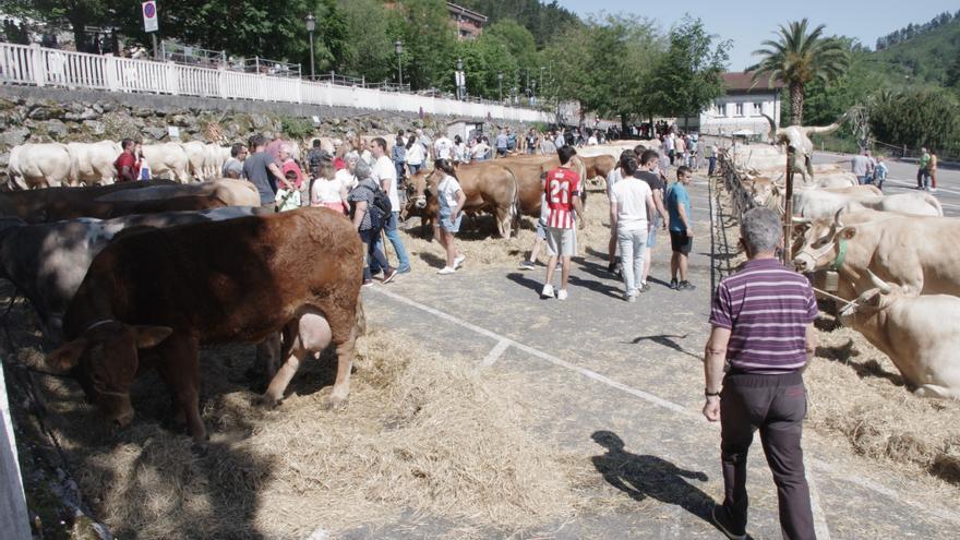 Zeanuri honra a San Isidro con misa, danzas, feria, música y deporte