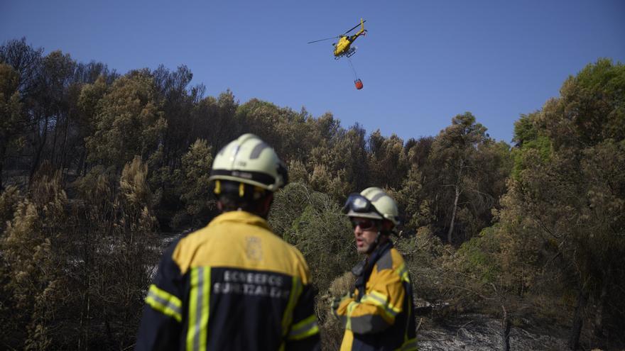 EH Bildu insta al Gobierno de Navarra a crear un Grupo Forestal de Bomberos