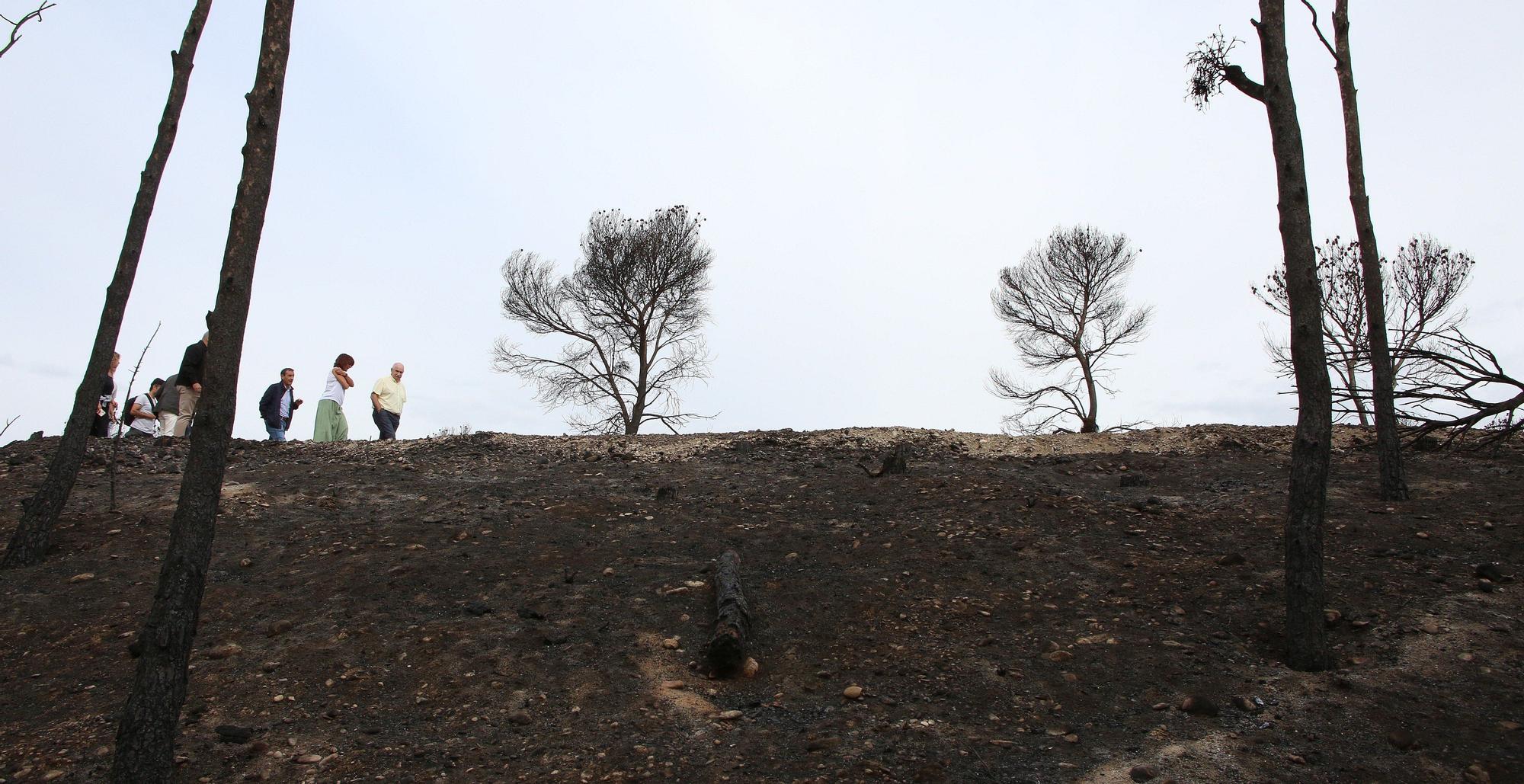 Así han quedado los montes afectados por el incendio de Carcastillo