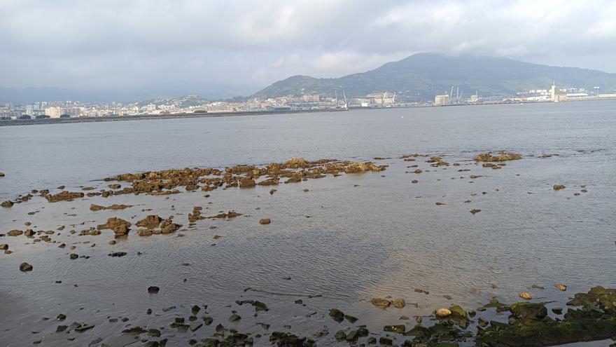 El Cantábrico se "mediterraniza": el agua de nuestras playas alcanza el récord histórico de 25 grados