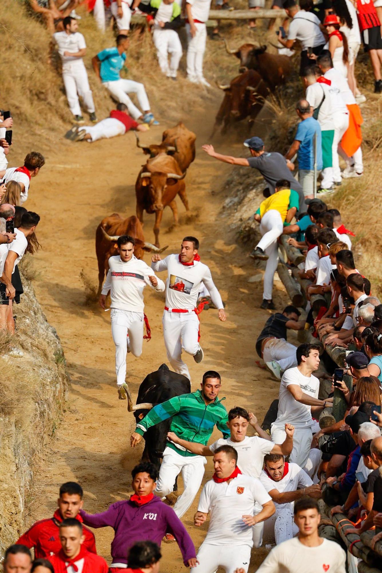 Fotos del segundo encierro del Pilón de Falces 2025
