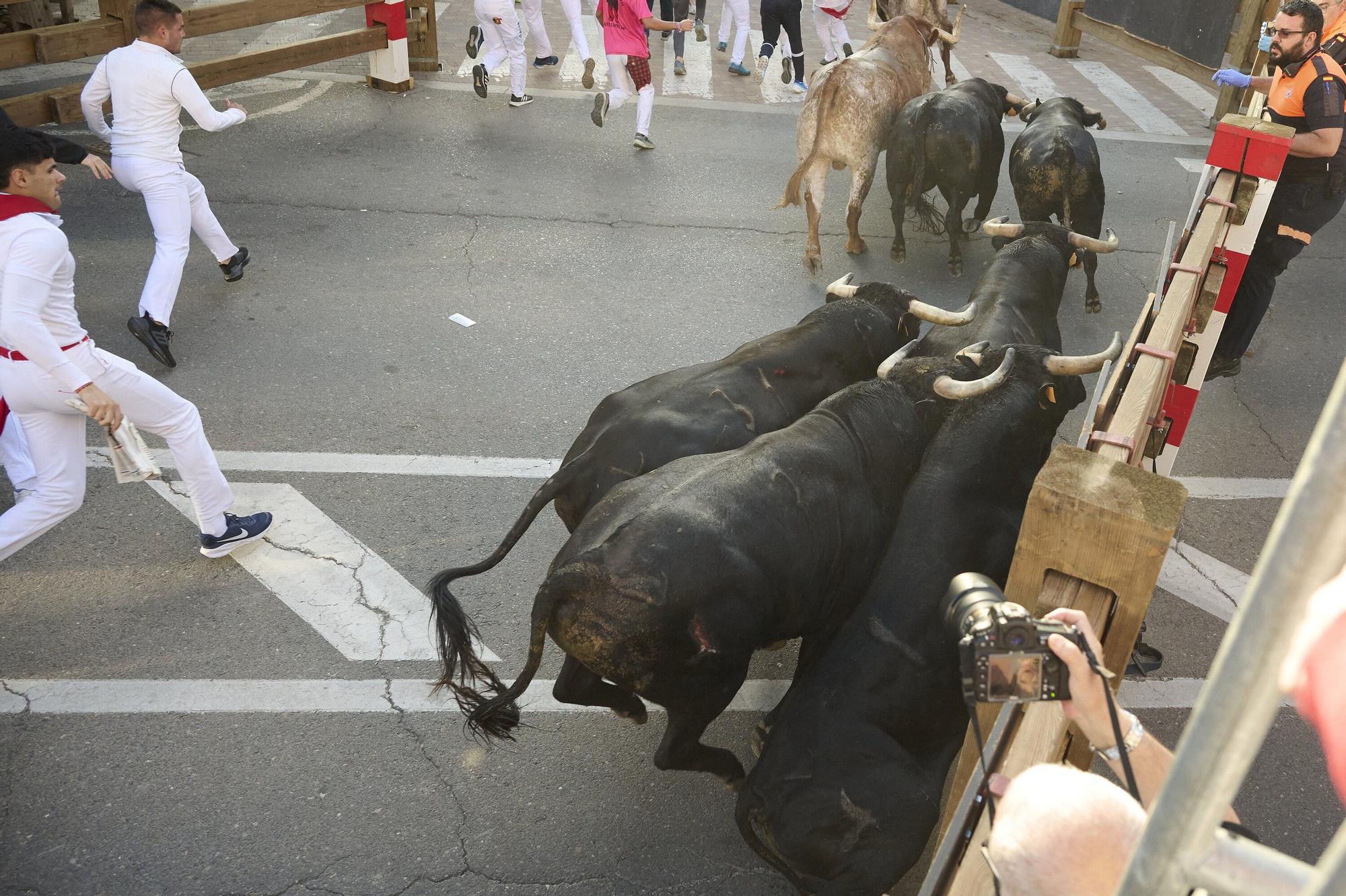 Fotos del tercer encierro de las fiestas de Tudela 2025
