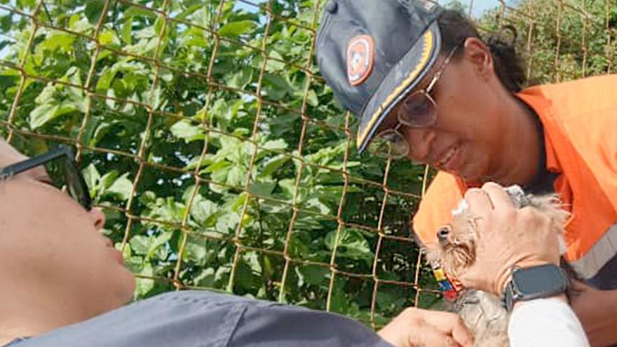 'Bruno', el perro que permaneció abrazado junto al ingeniero bilbaino Jon Sustacha bajo los escombros en Venezuela